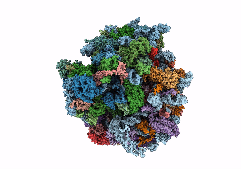 5T2C image