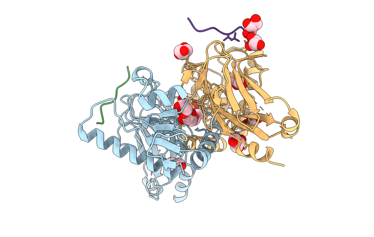 5T2S image