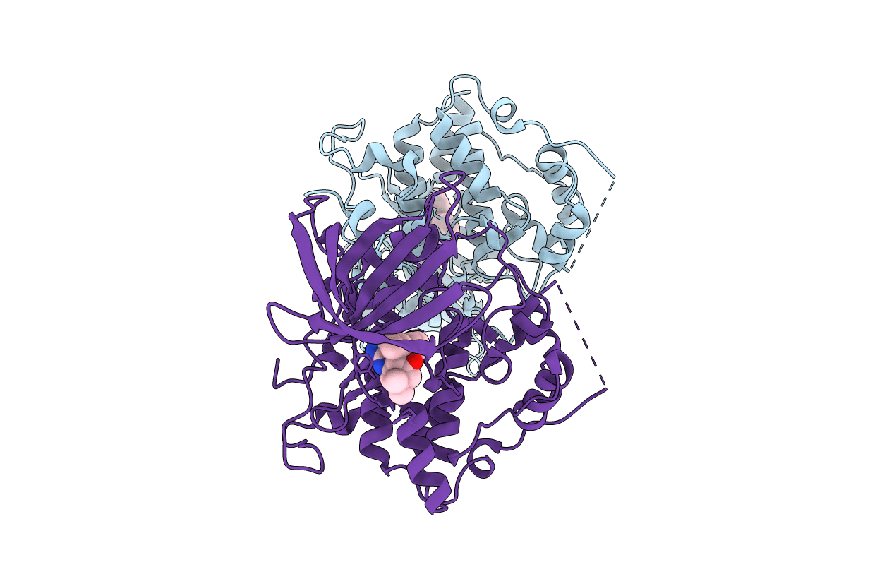 5T31 image