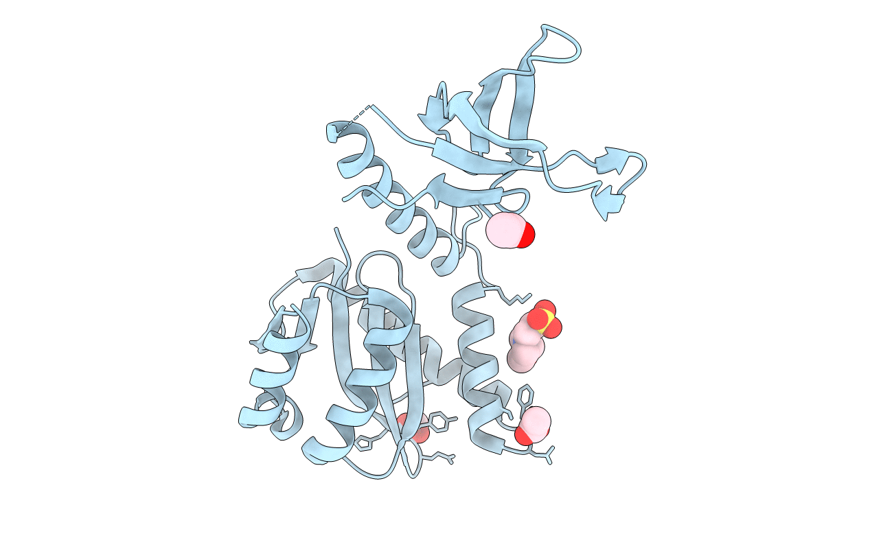 5T3A image