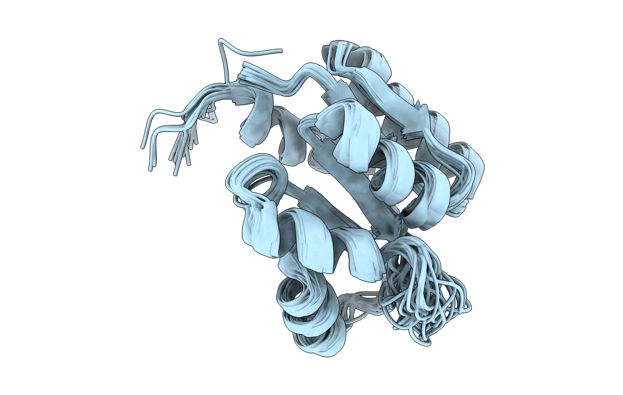 5T3Y image