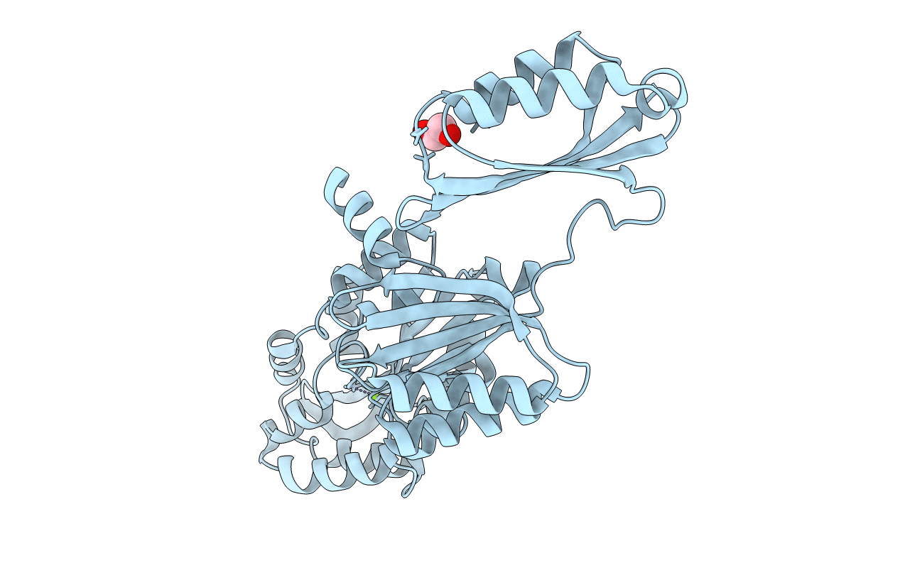 5T41 image