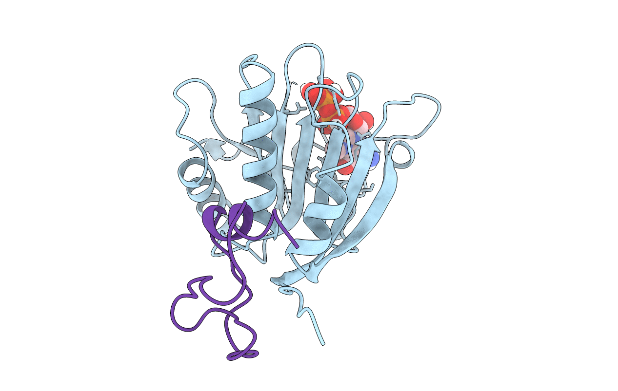 5T48 image