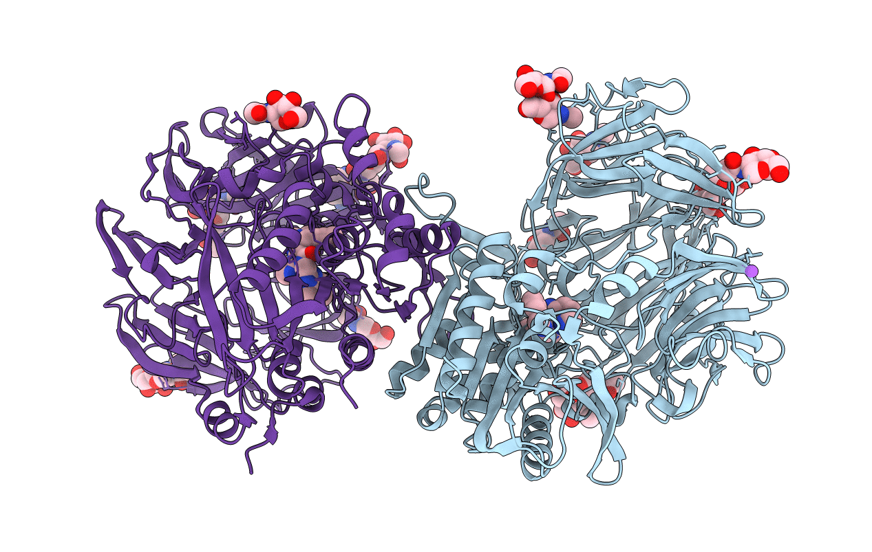 5T4B image