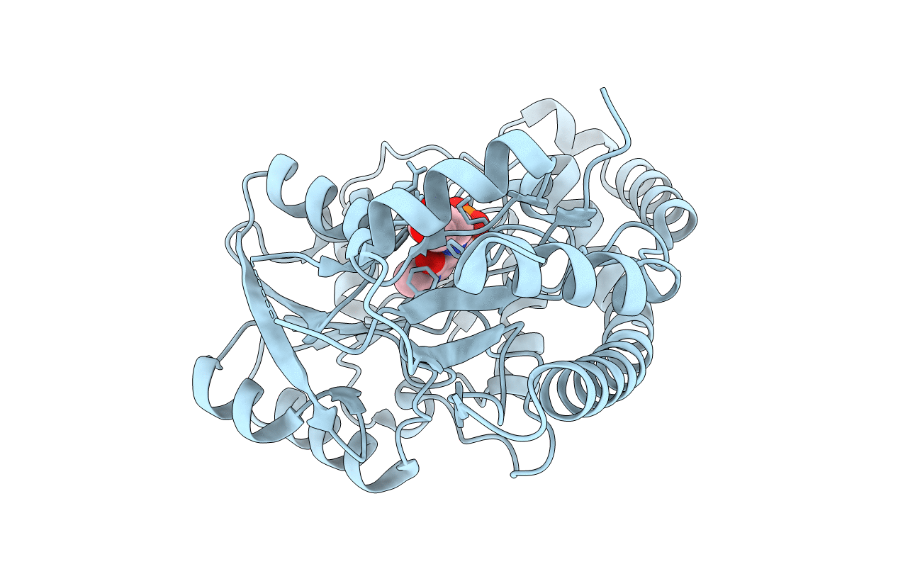 5T4J image