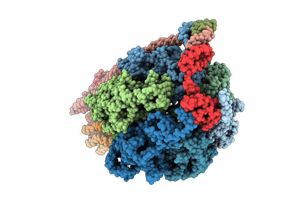 5T4P image