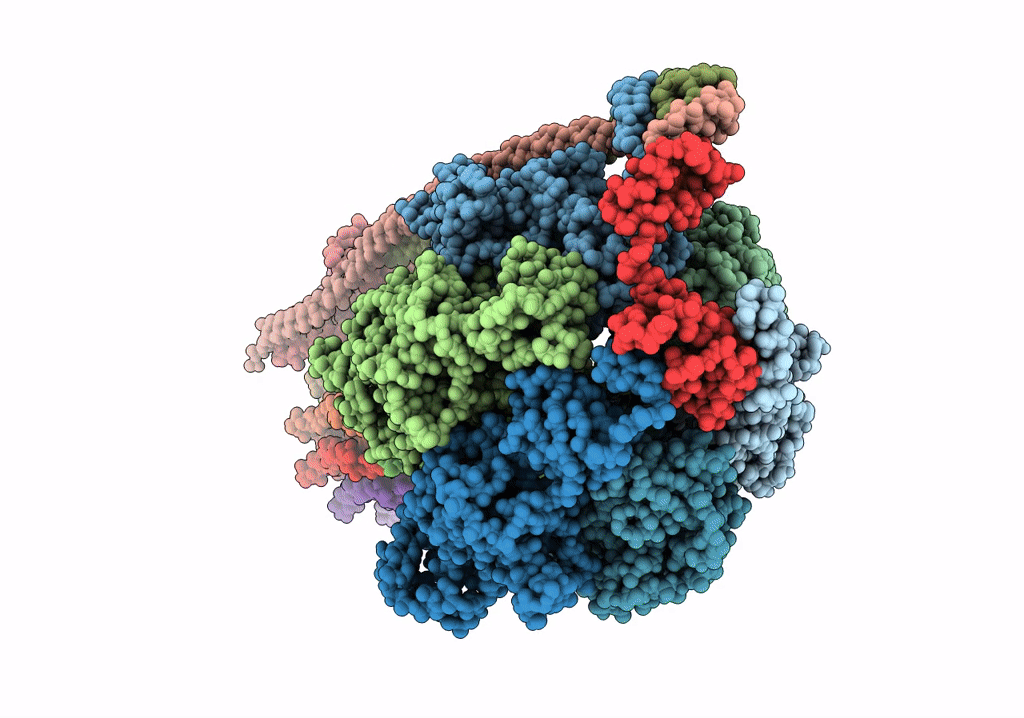 5T4Q image