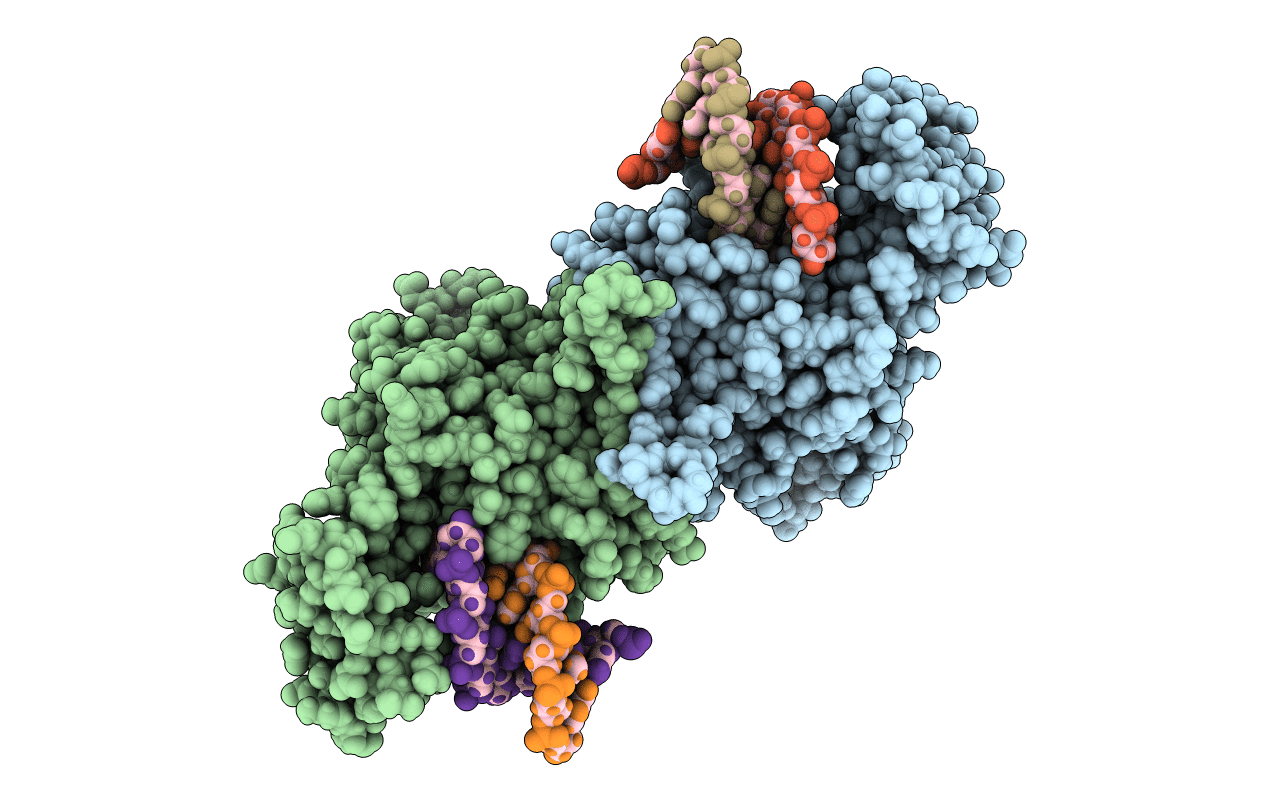 5T5C image