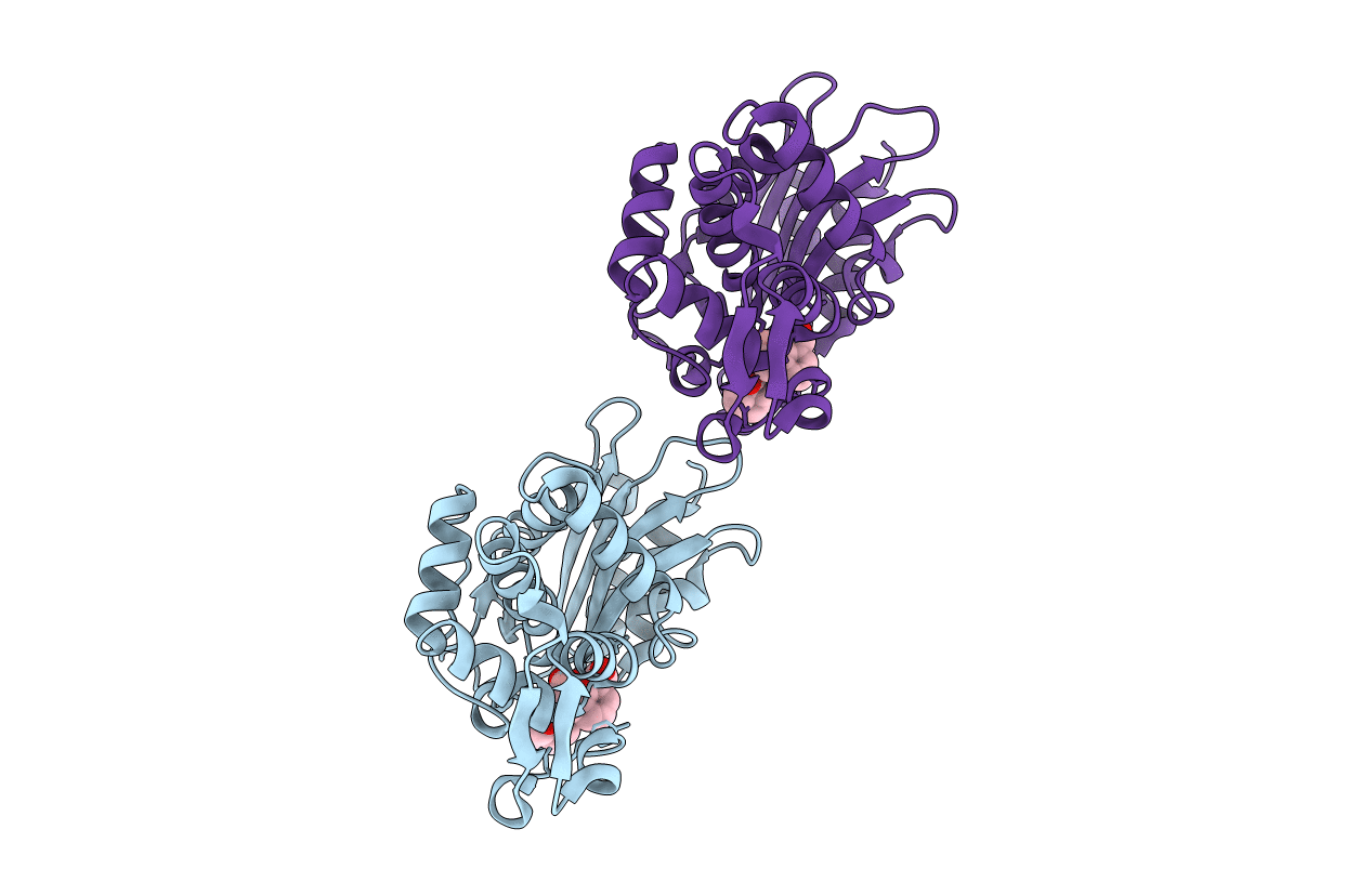 5T66 image