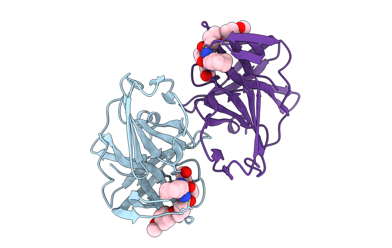 5T6D image