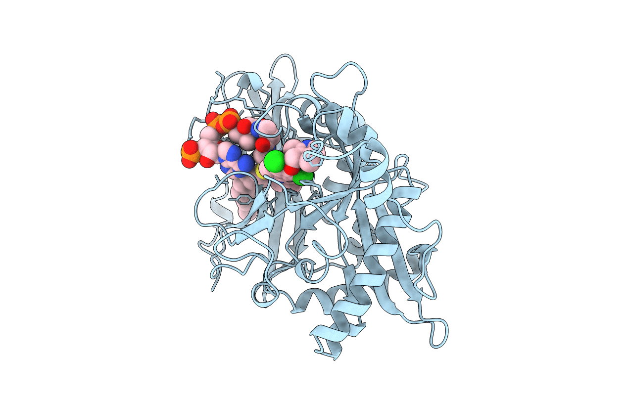 5T6E image
