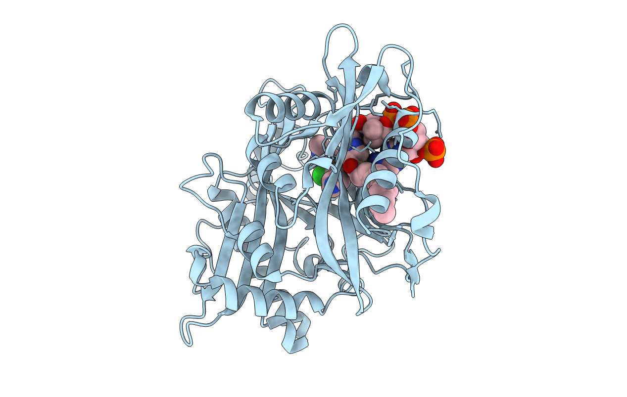 5T6H image