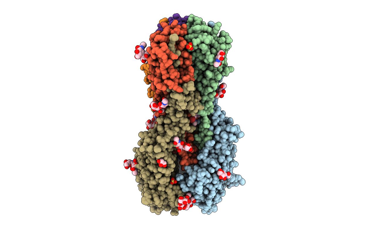 5T6N image