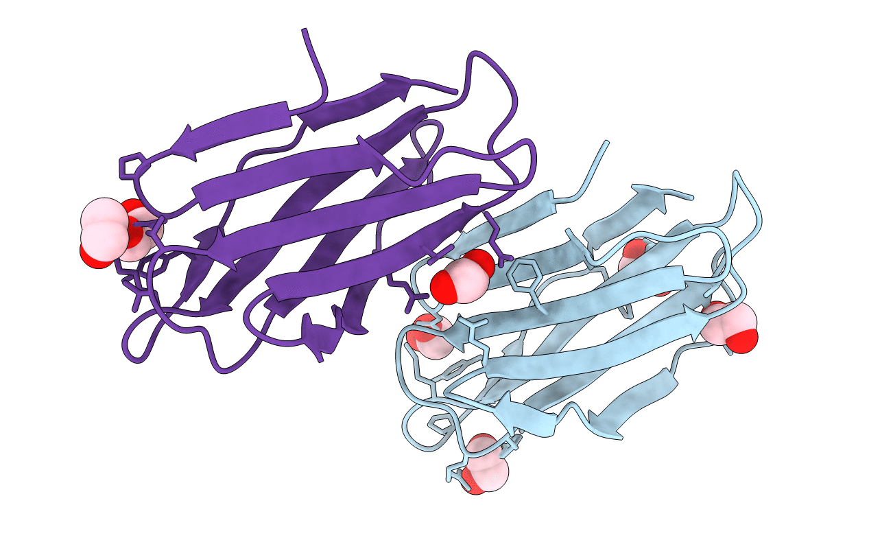 5T7A image