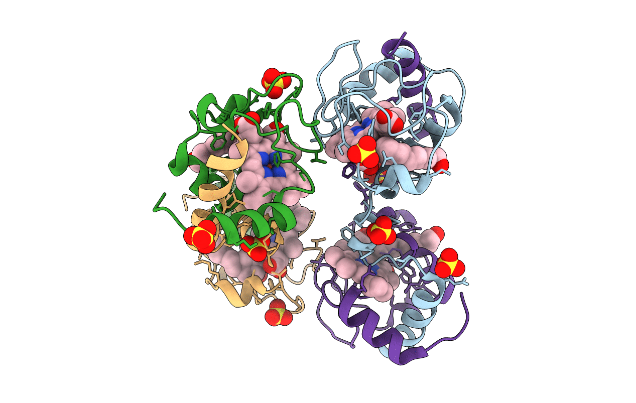 5T7H image