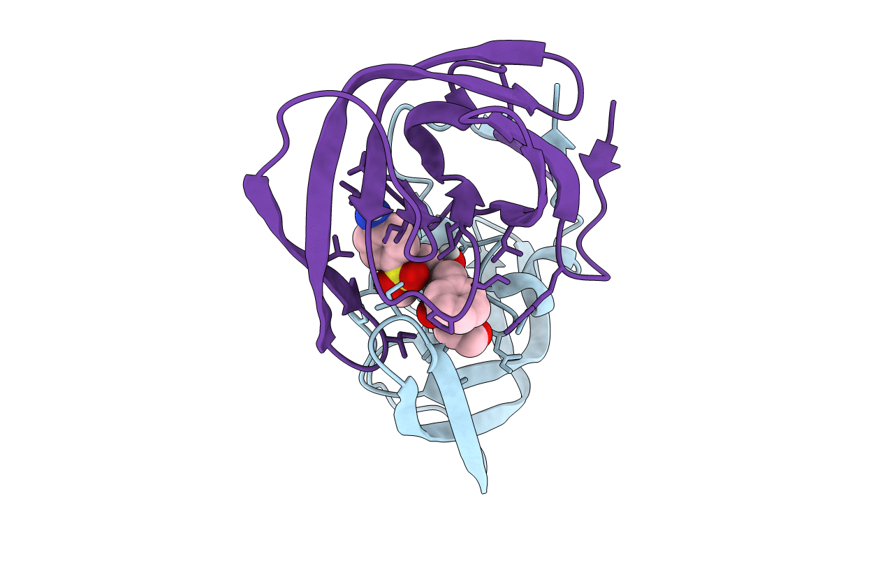 5T8H image