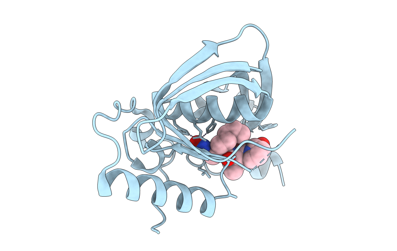 5T8Z image