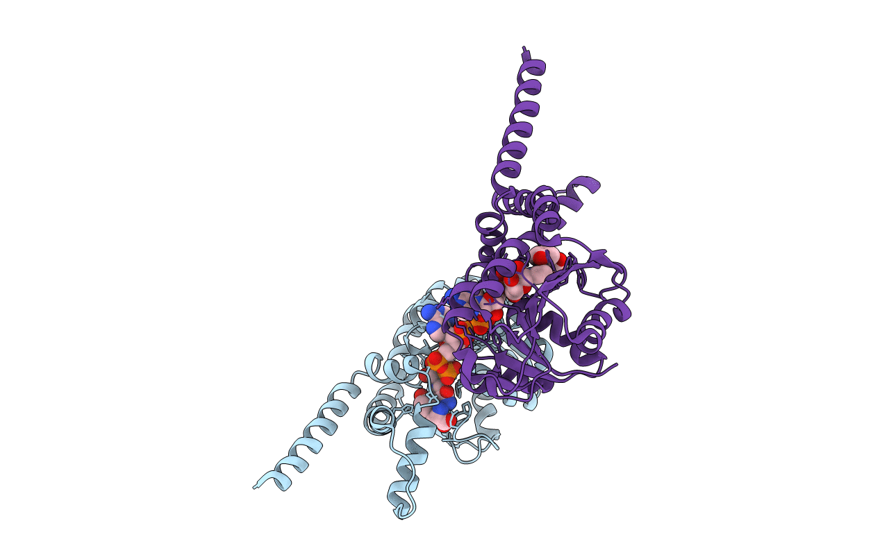5T9F image