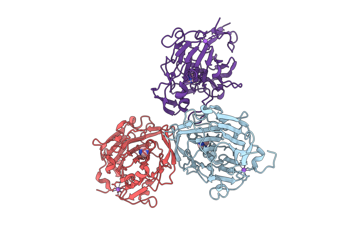 5T9X image