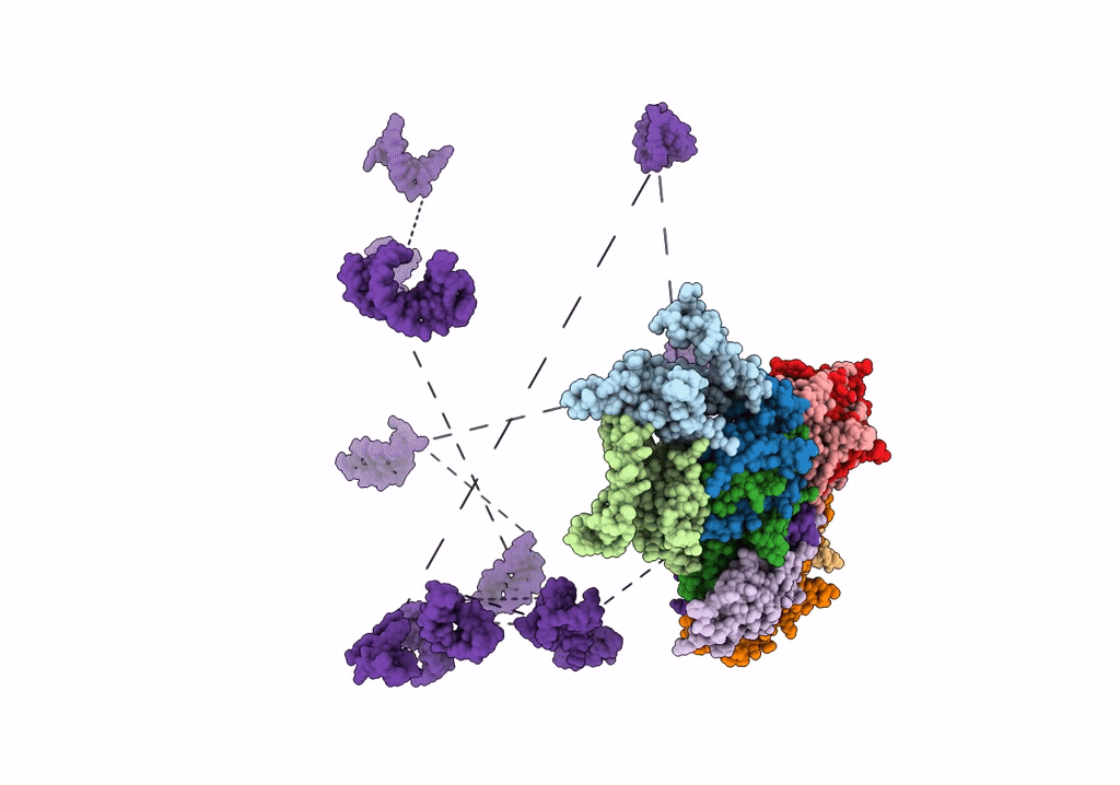 5TC1 image