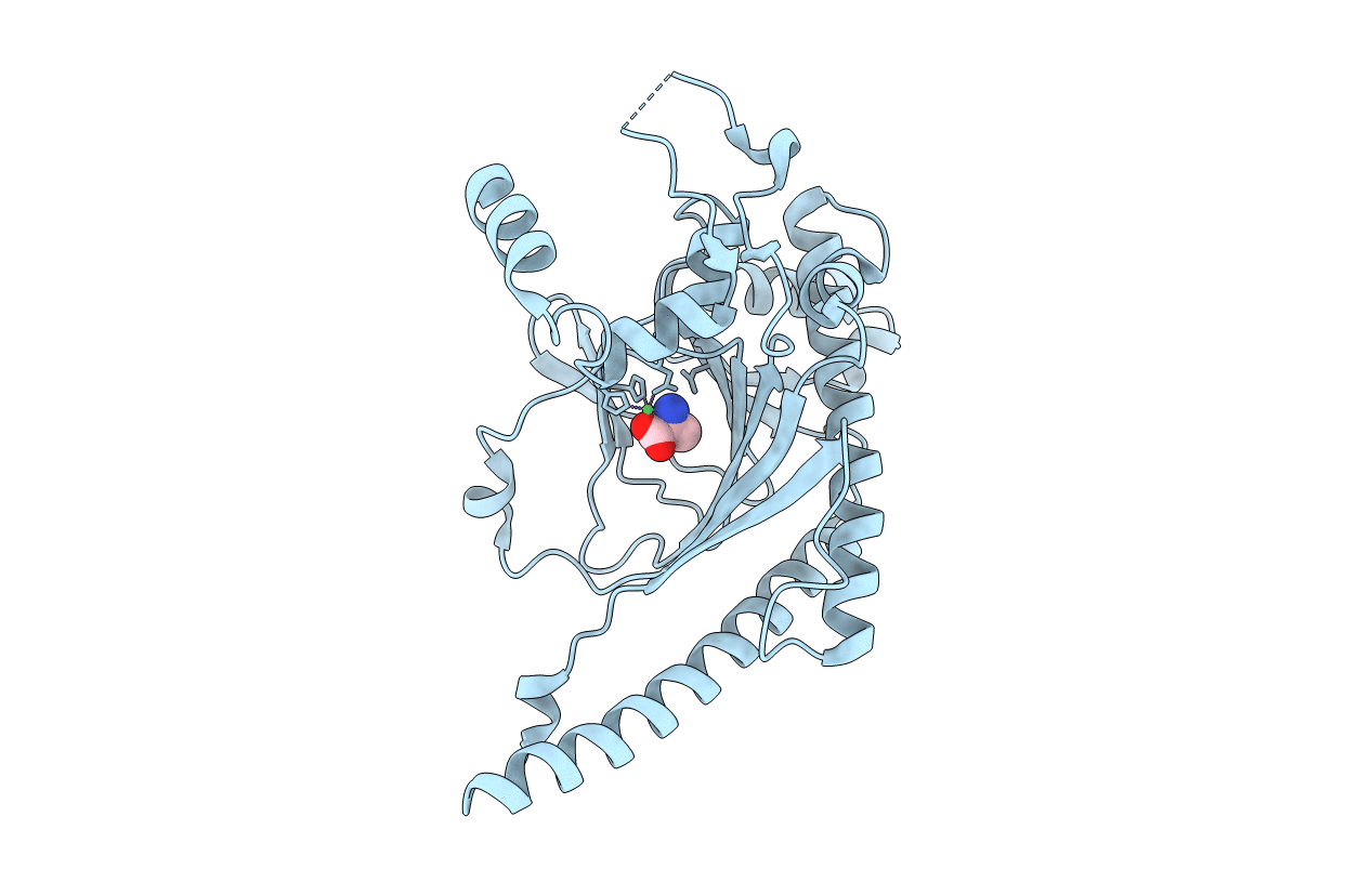 5TCV image
