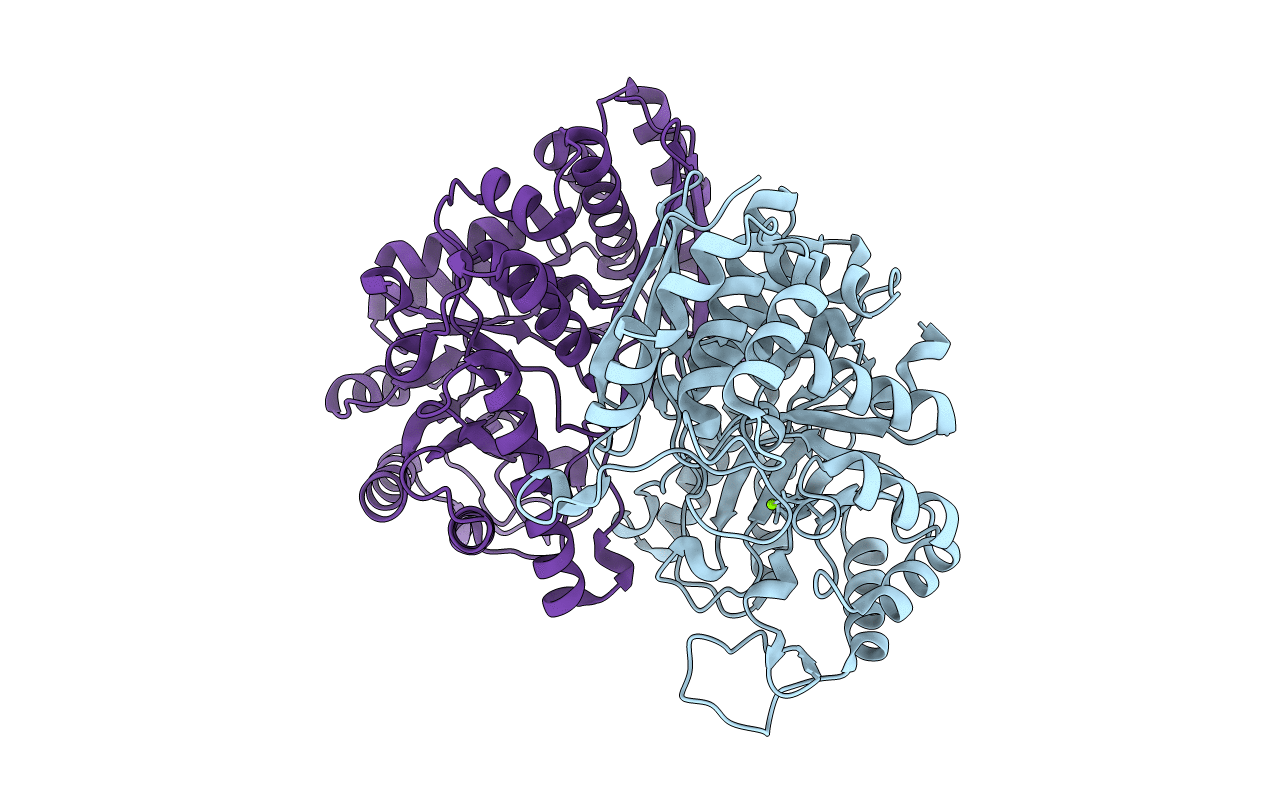 5TD9 image