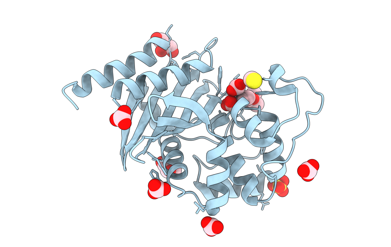 5TG4 image