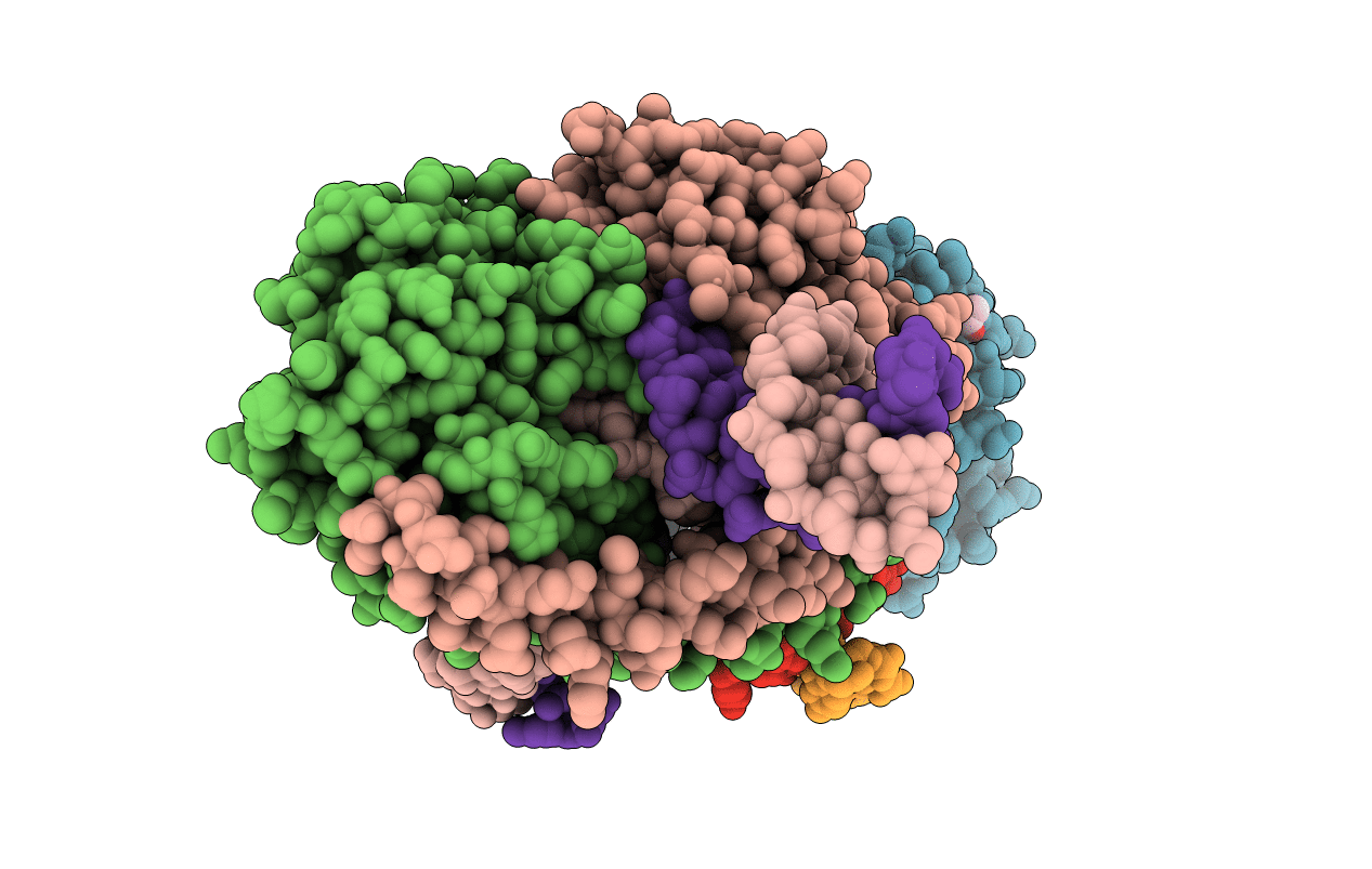 5TGX image