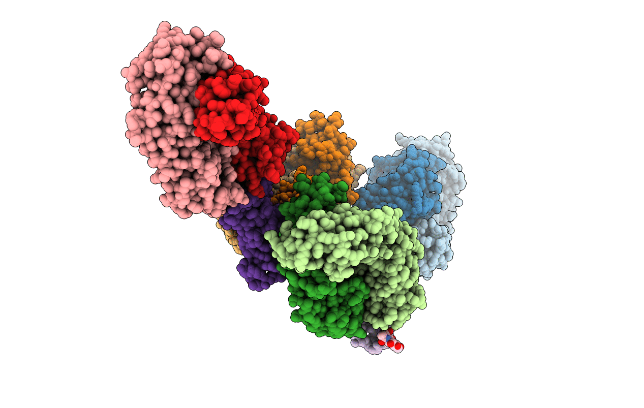 5TLK image