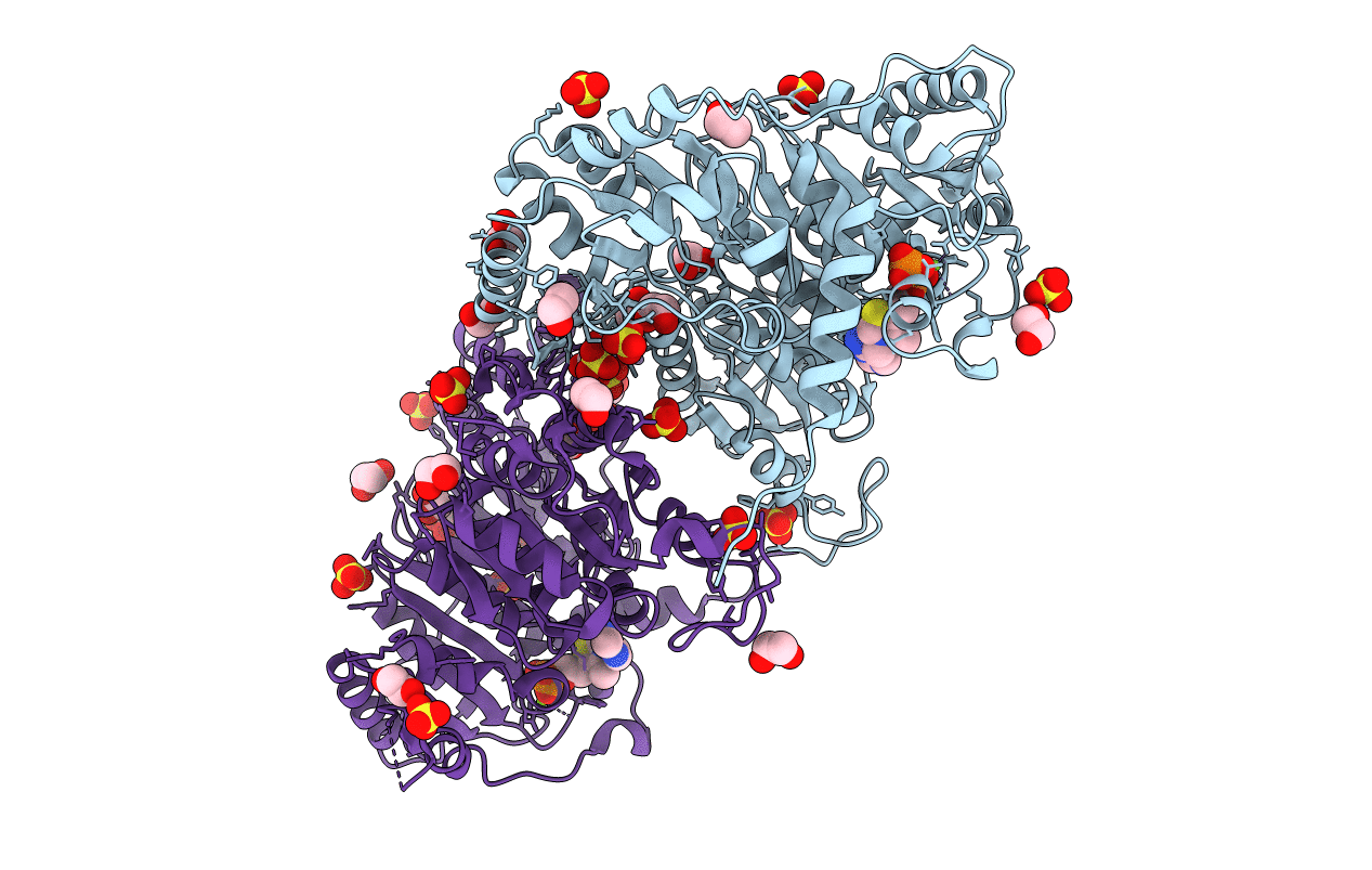 5TMA image