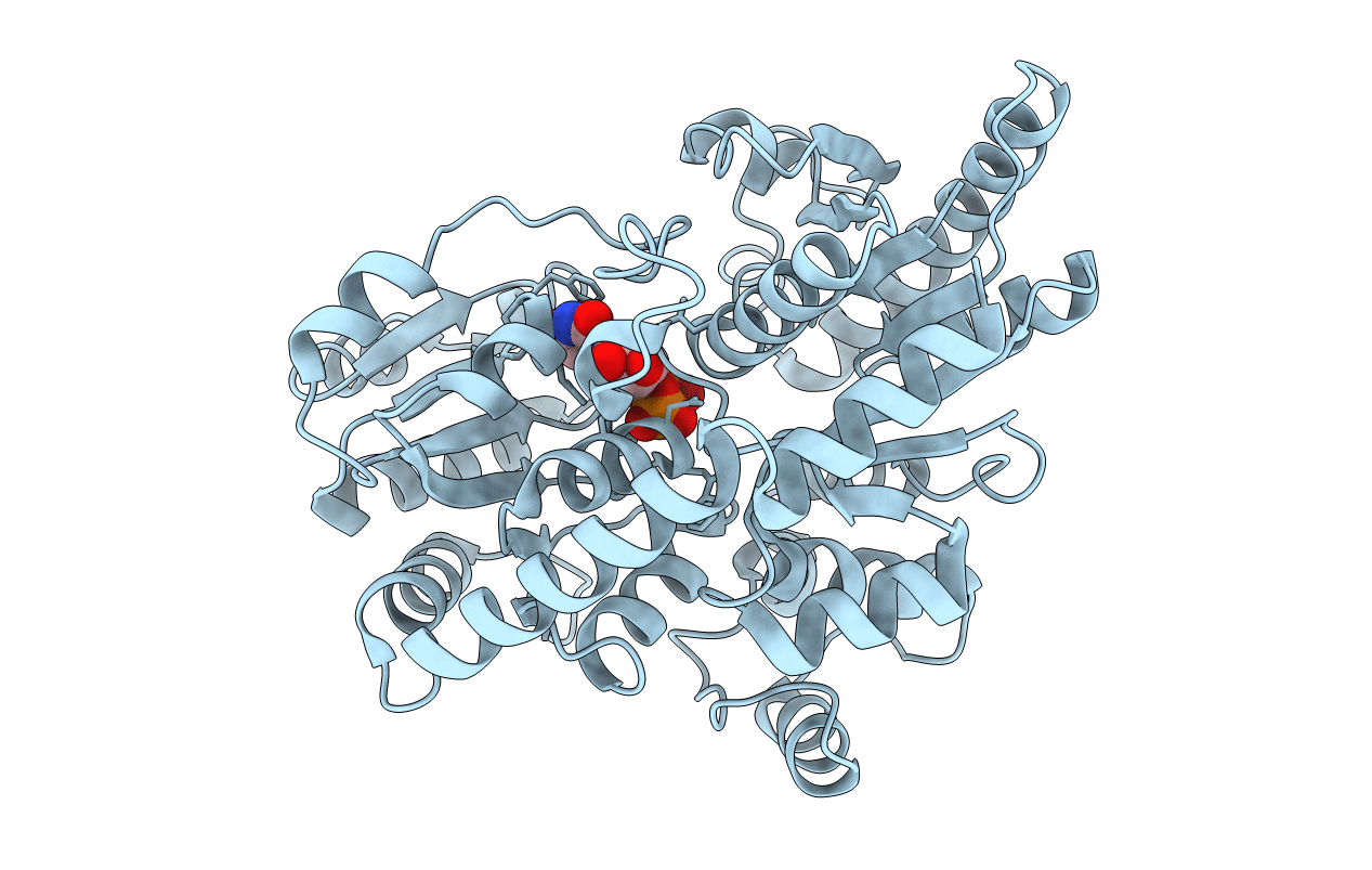 5TMB image
