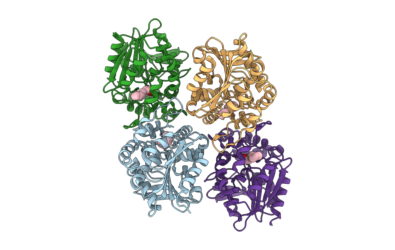 5TNK image