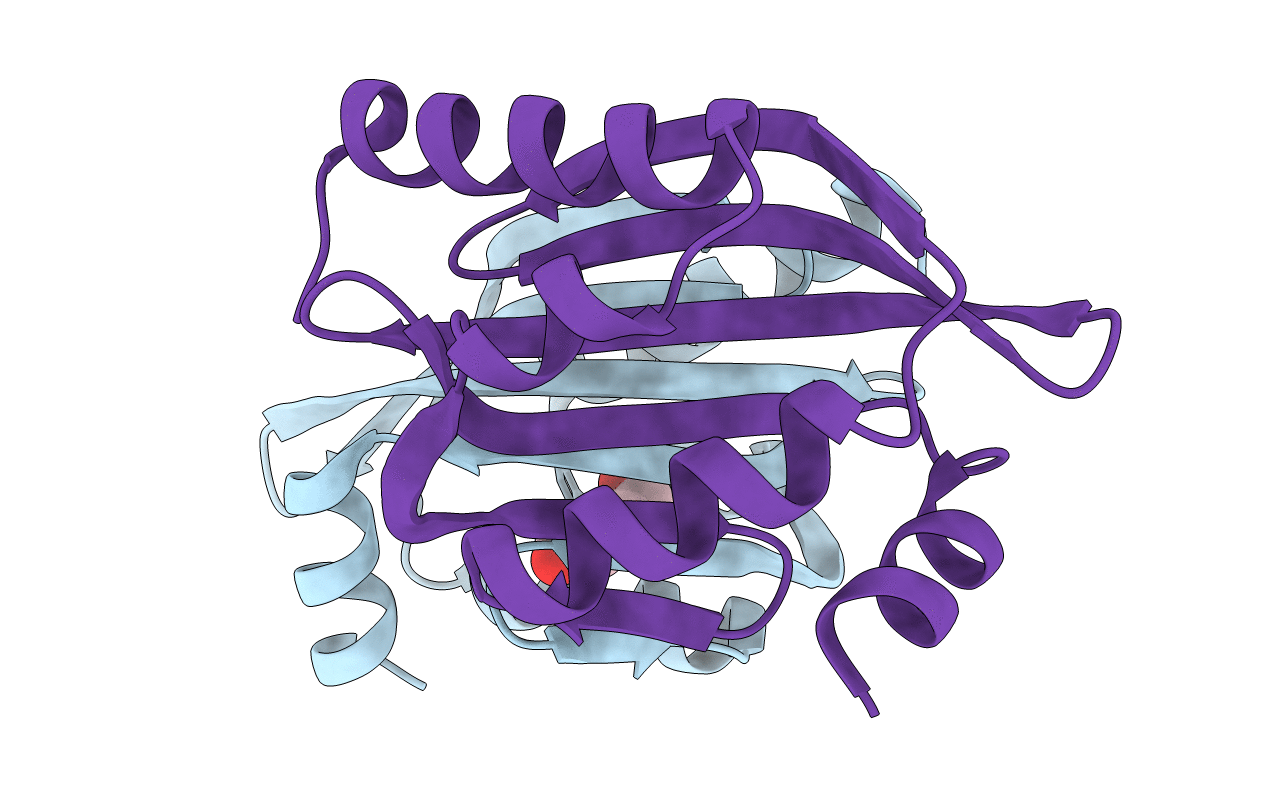 5TPH image