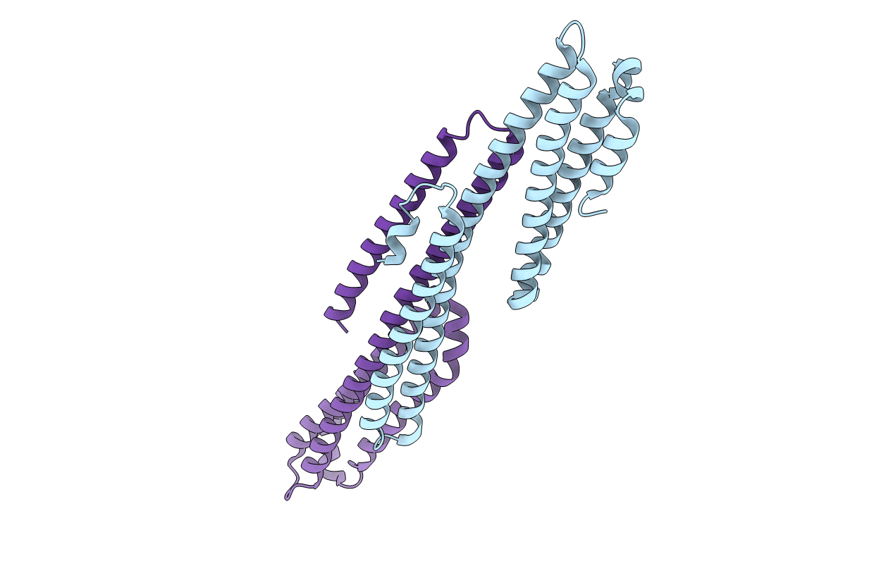 5TPT image