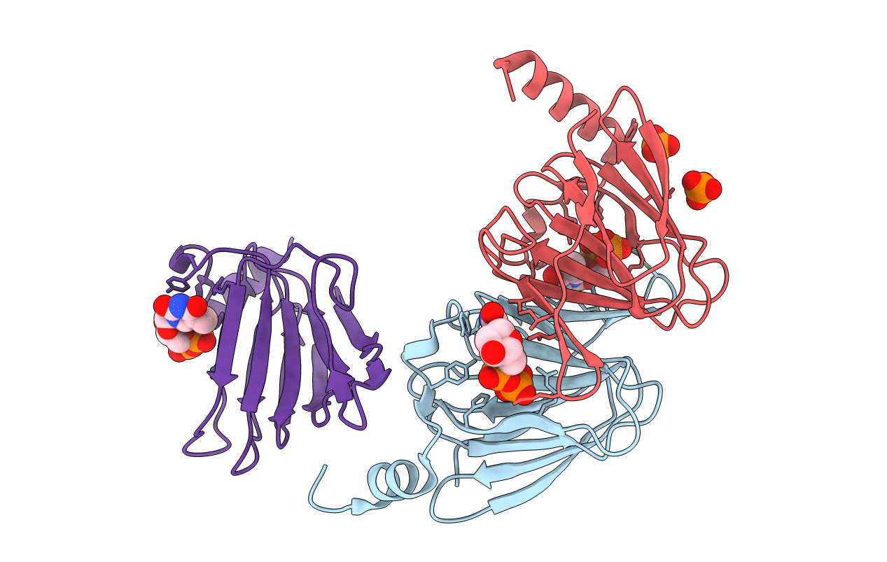 5TPV image