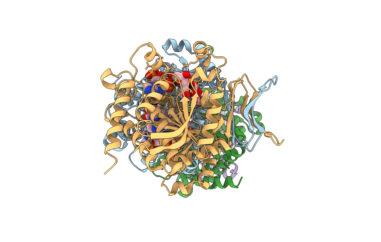 5TQH image
