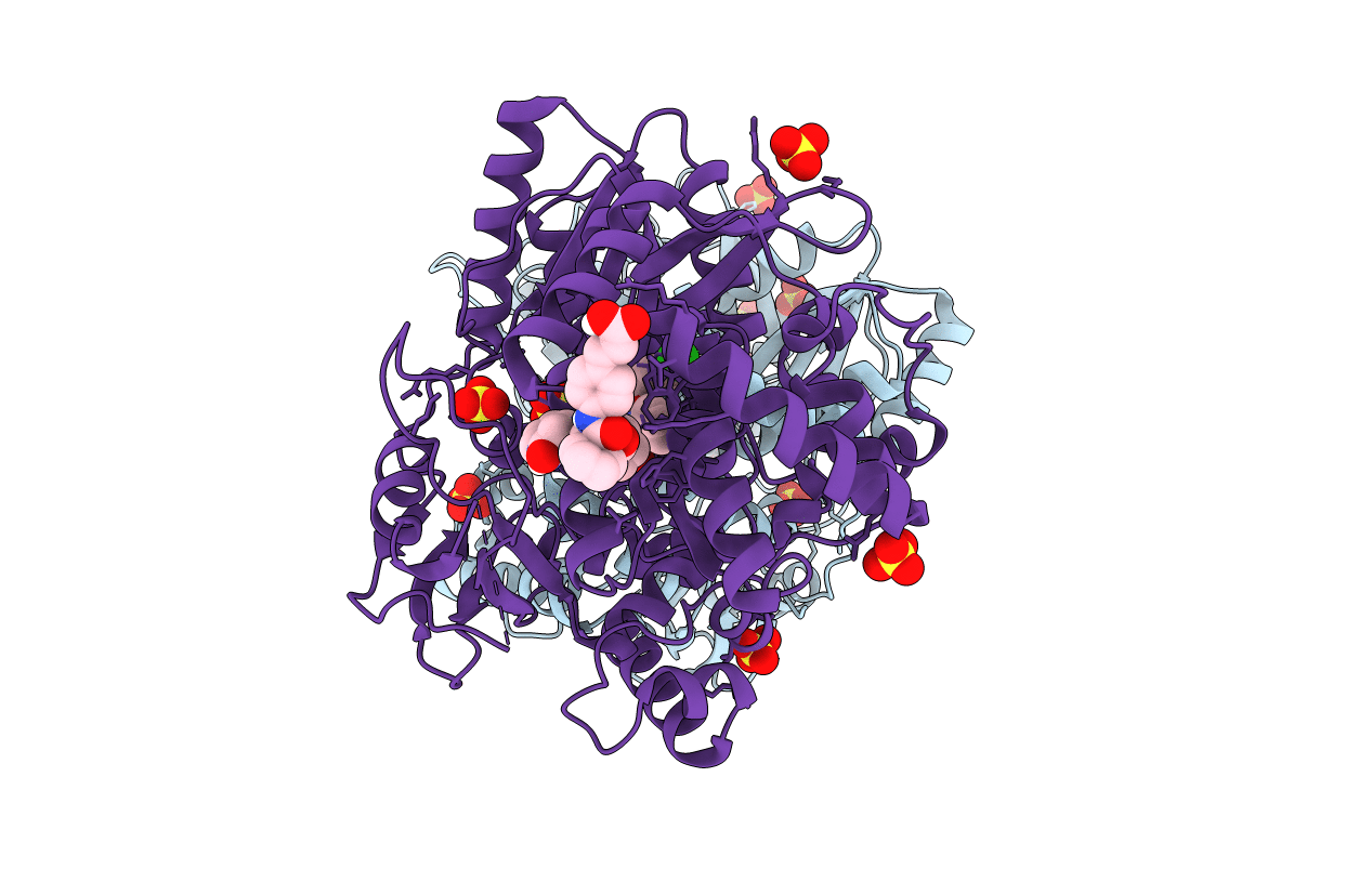 5TRH image