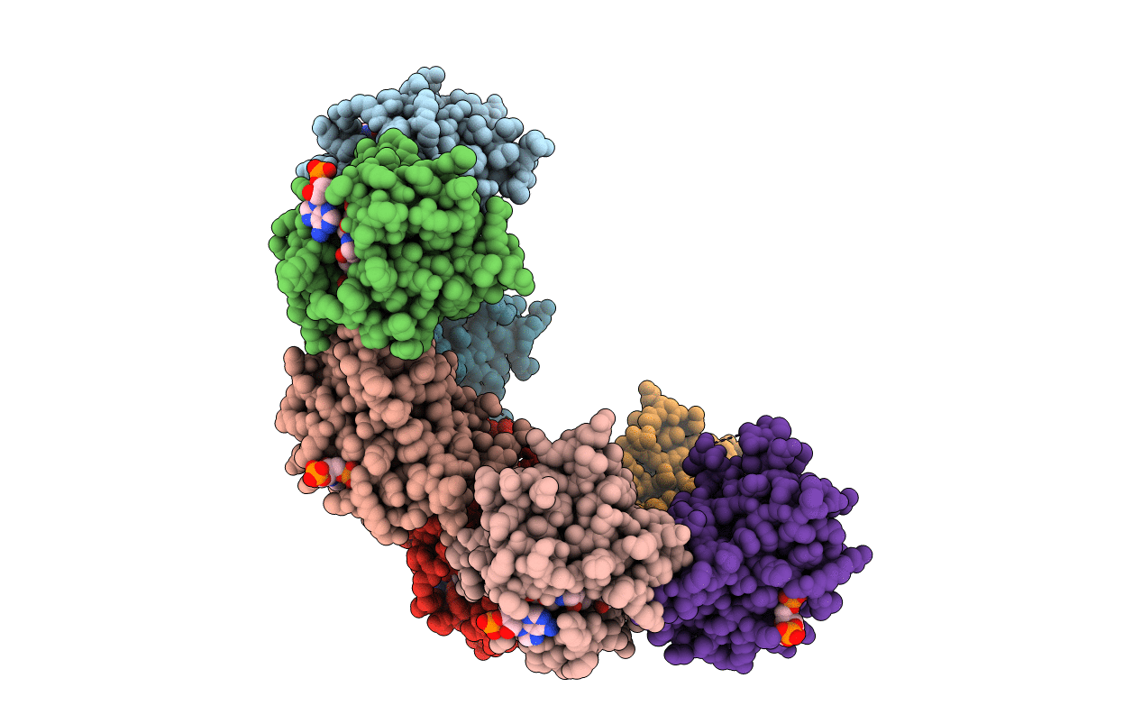 5TRL image