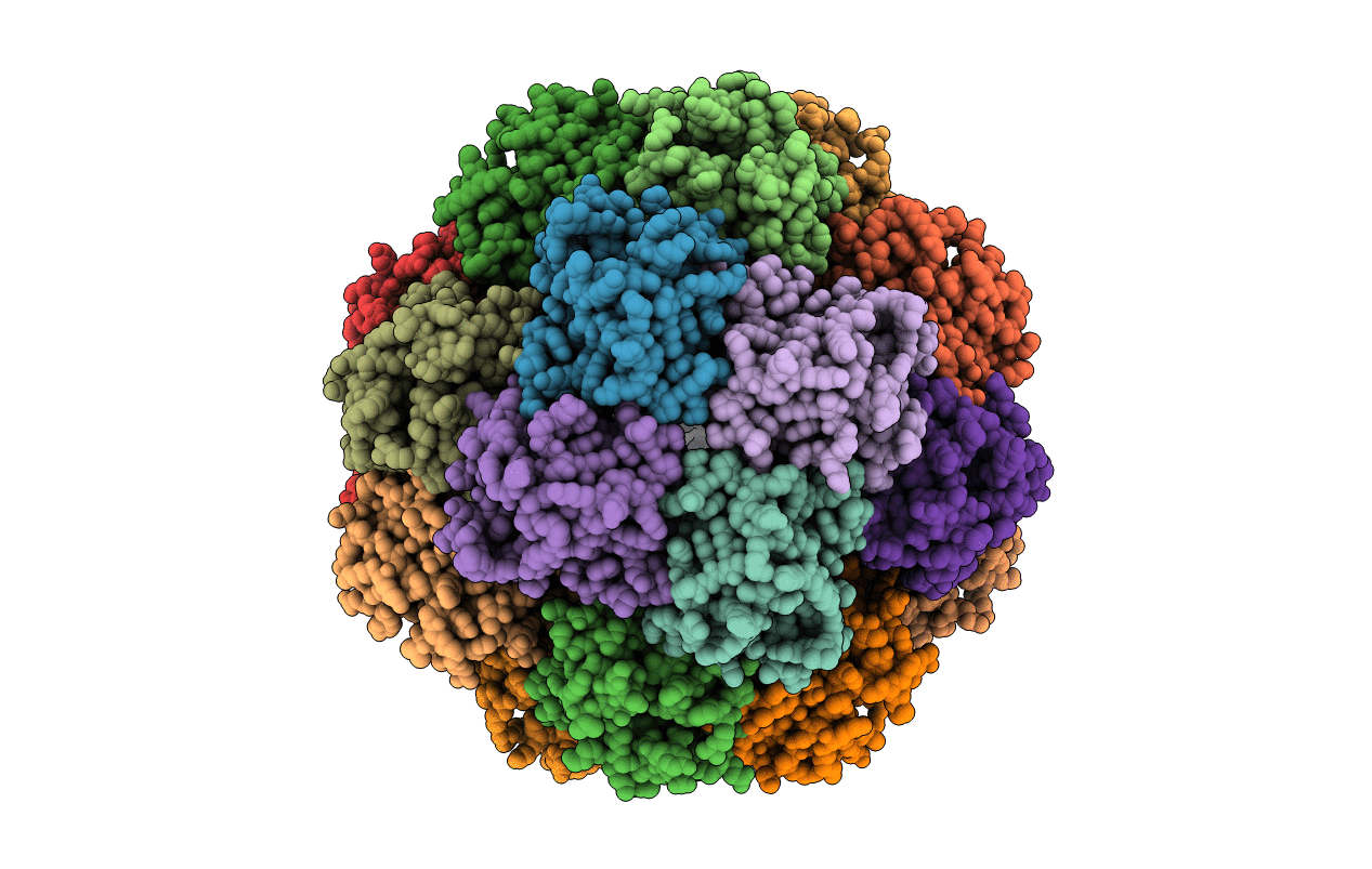 5TRM image