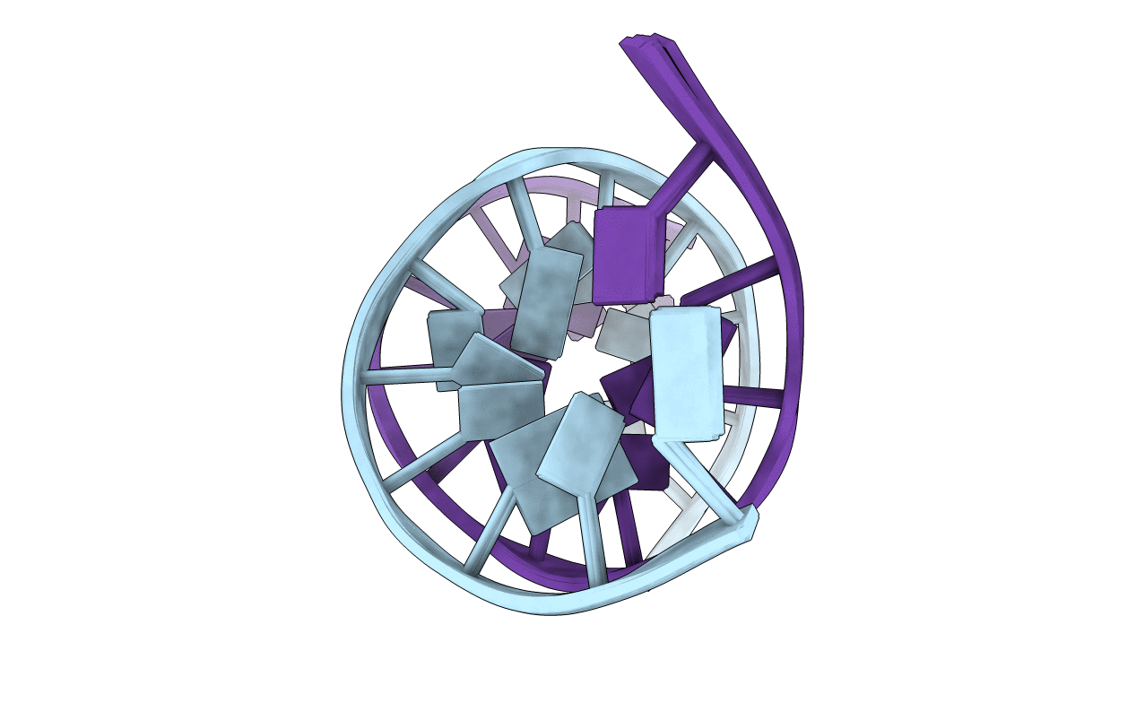 5TRN image