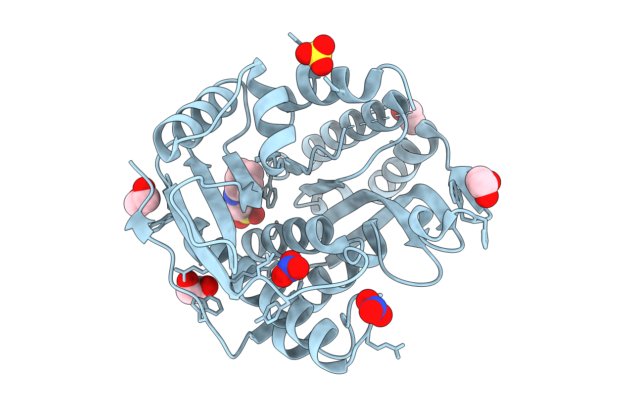 5TRW image