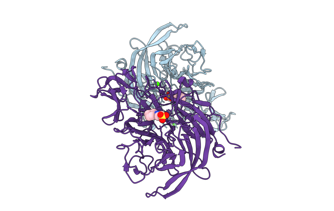5TSP image