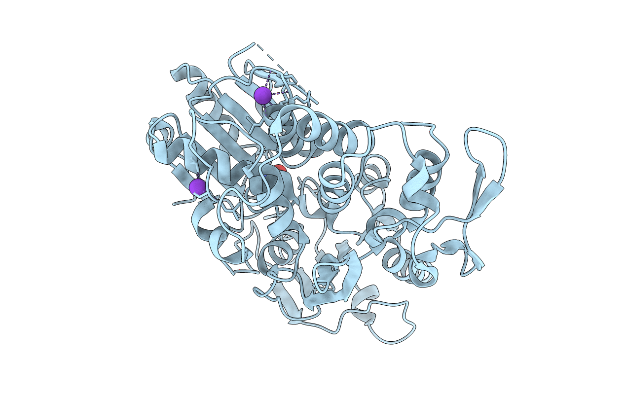 5TXG image