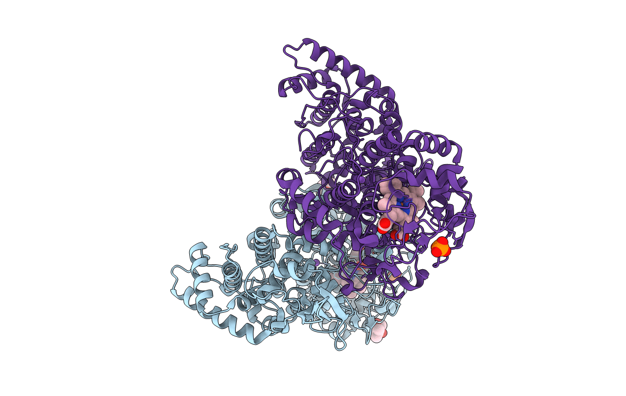 5TXQ image