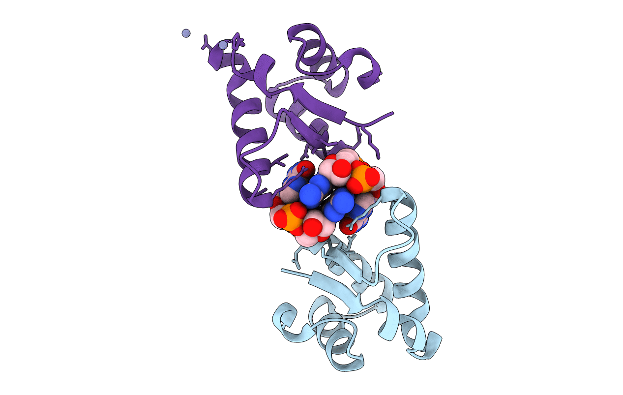 5TZG image