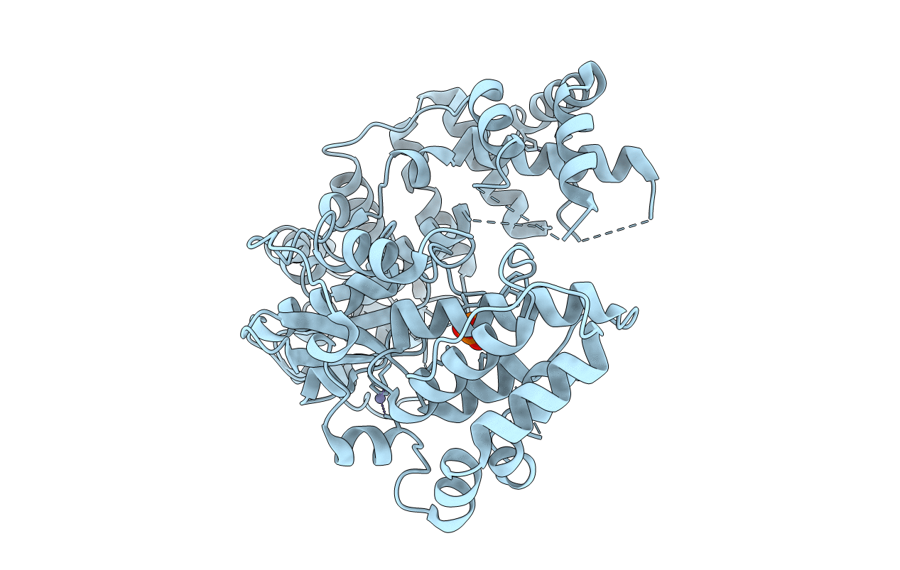 5U04 image