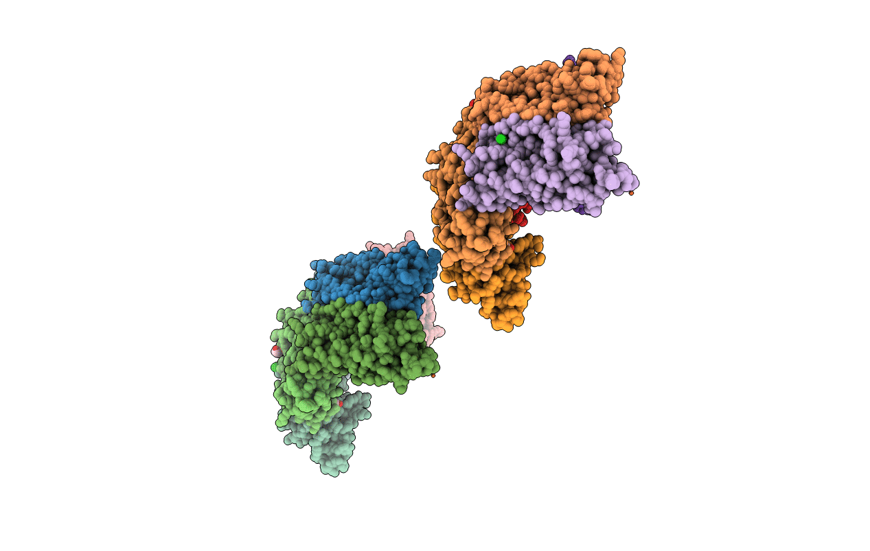 5U1A image