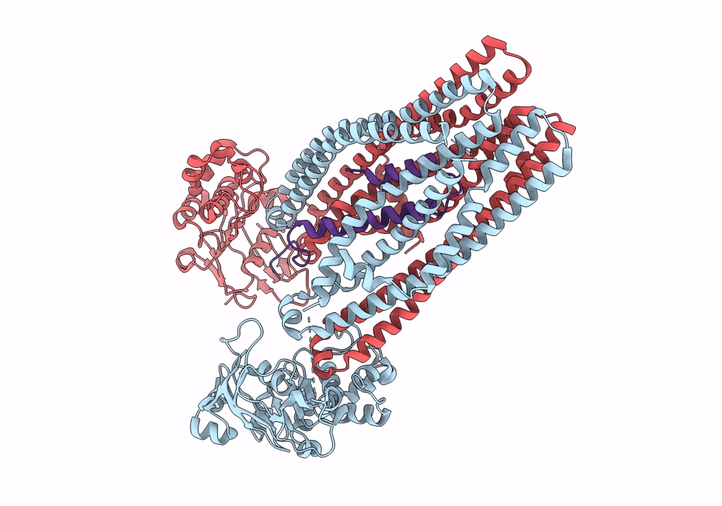 5U1D image