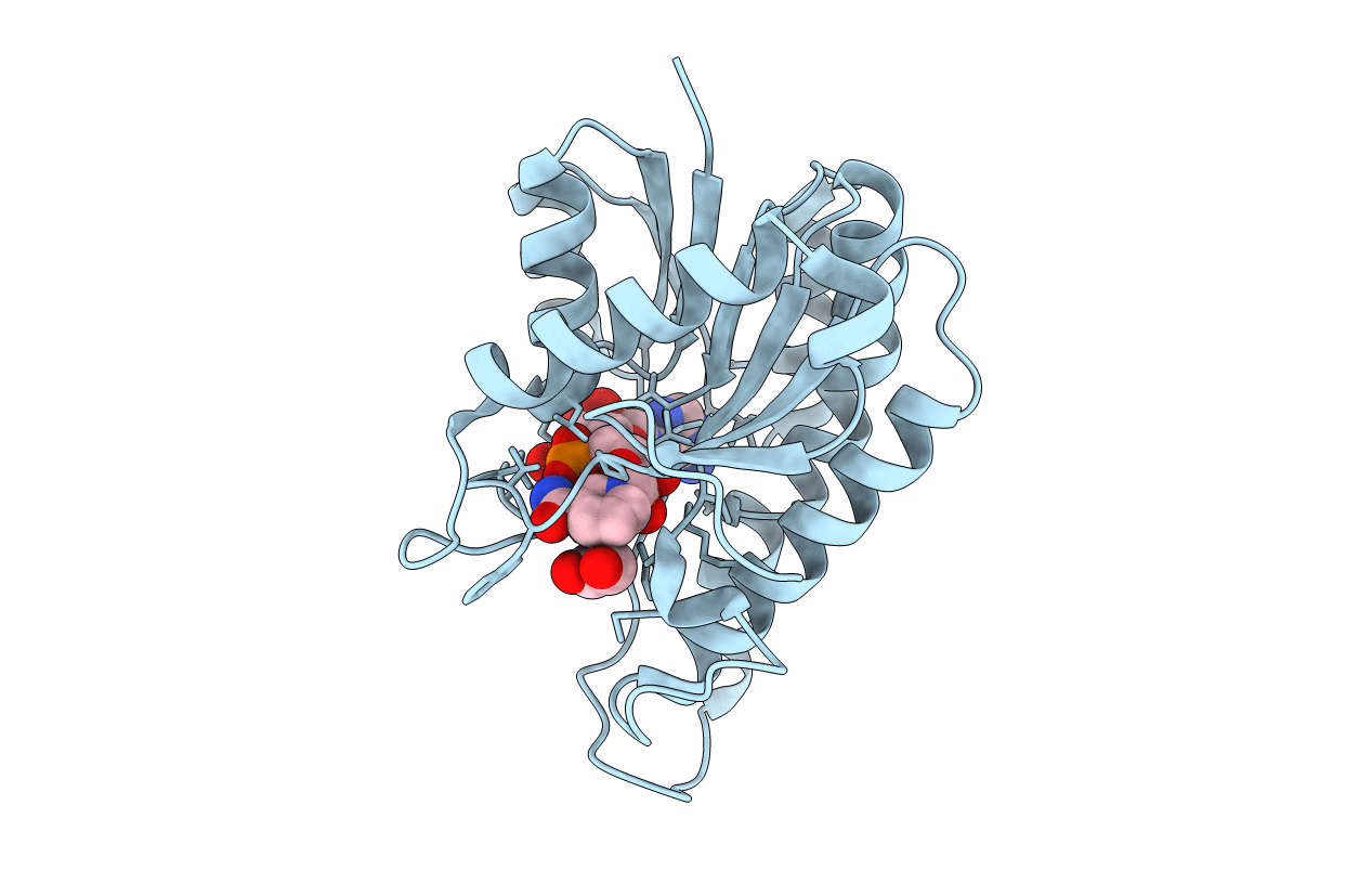 5U1P image