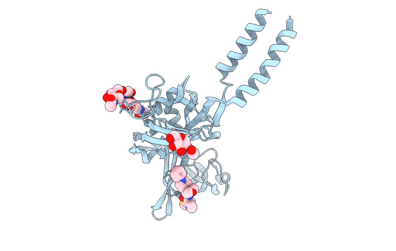 5U1X image